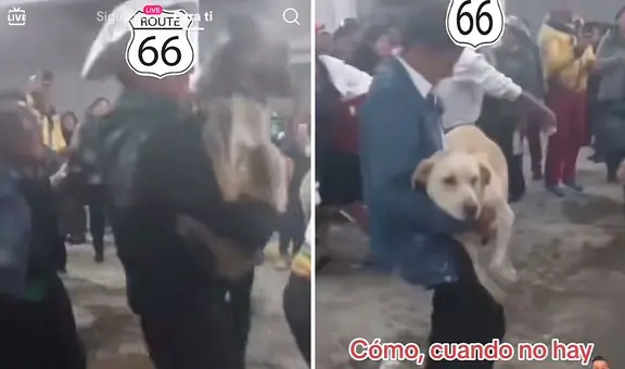 Llevan a 2 perritos a matrimonio en Huancayo e invitados creen que son regalos de boda
