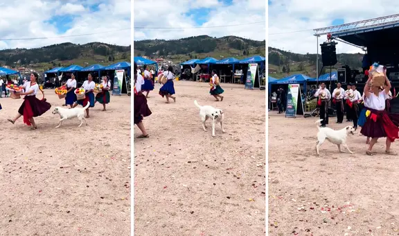 Perrito interrumpe show de baile folclórico y usuarios bromean: “Firulais es el coreógrafo”