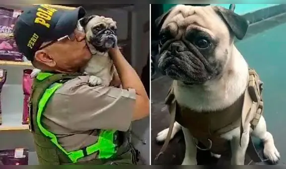 Cercado de Lima: perrito atacado por su dueño tiene hematoma en el vientre, según la Policía