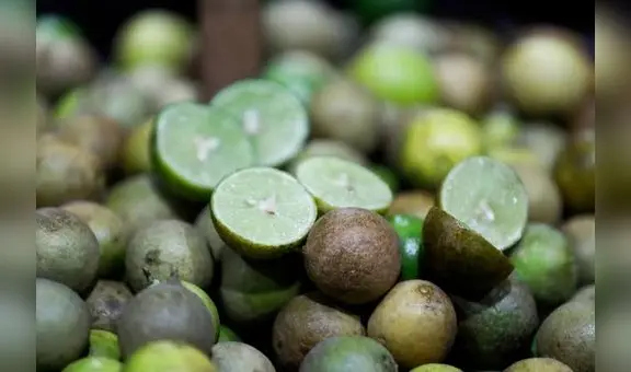 Limón ‘pavita’: ¿cómo es y cuánto cuesta el cítrico usado en Trujillo ante alza de precios?