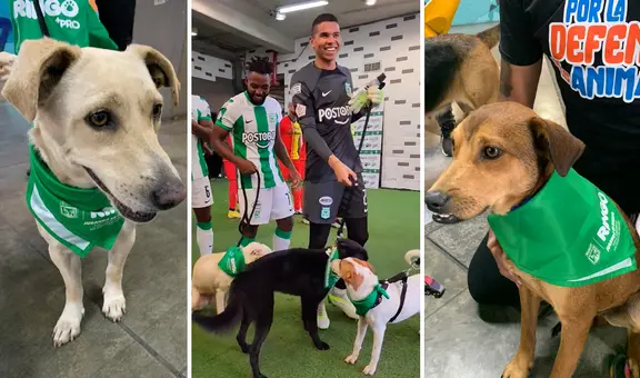Futbolistas de Atlético Nacional tienen noble gesto con perros y video da la vuelta al mundo