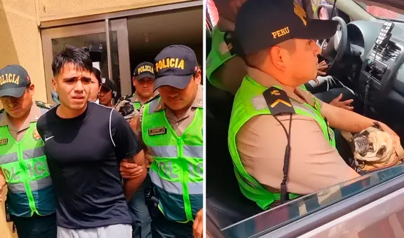 Caso Asap: ¿cuál fue la sentencia del Poder Judicial contra el agresor del perrito pug?