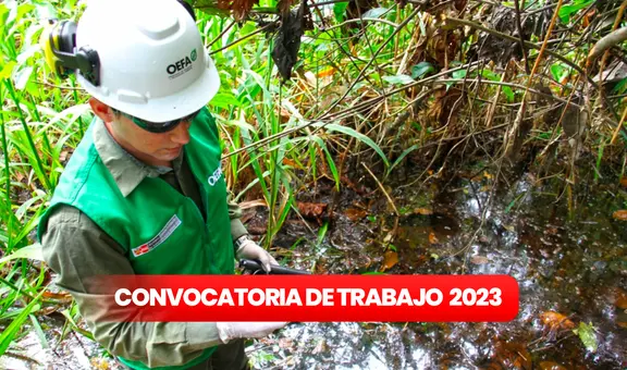 ¿Eres titulado y buscas trabajo? OEFA ofrece empleos con sueldos de hasta S/10.000