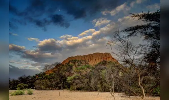 El Santuario Histórico Bosque de Pómac de Lambayeque de camino a estar al nivel de Machu Picchu