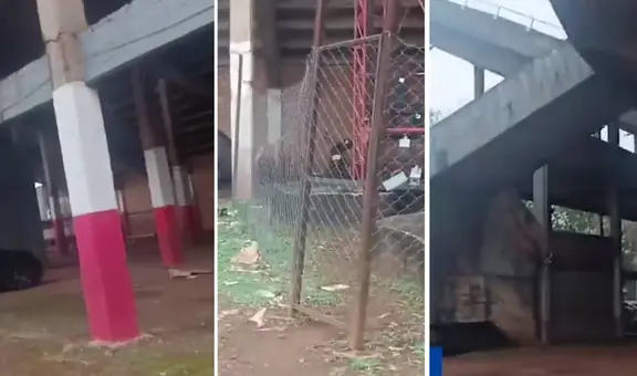 La terrible infraestructura del estadio donde jugará Perú ante Paraguay por las Eliminatorias 2026