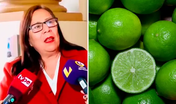 Ministra de Desarrollo Agrario y Riego ante alza del limón: "Usemos más sal, vinagre y limón Tahití"