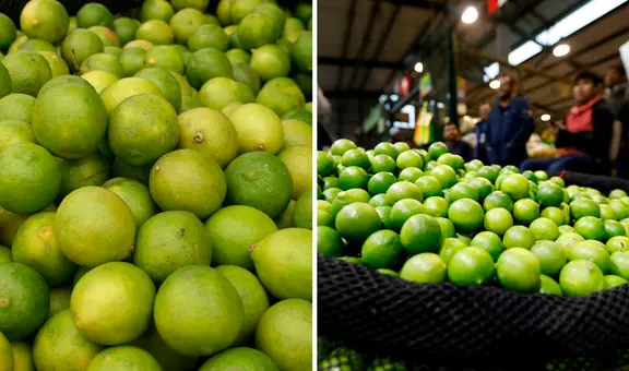 Comerciantes en Lambayeque venden saco de limón a S/600, tras alza de precio