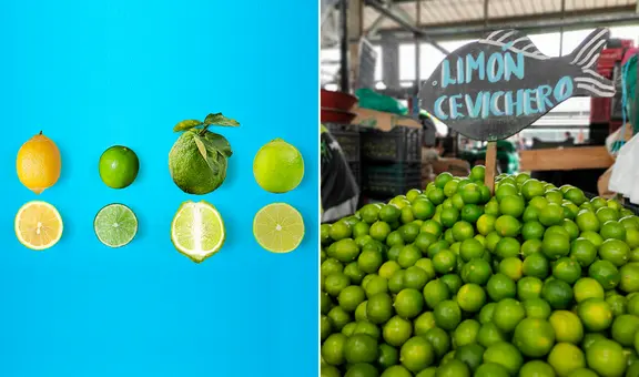 Limón Tahití, cañita y más: ¿cuántas variedades se venden en Perú, a cuánto el kilo y para qué se usan?