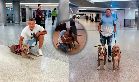 Migrante venezolano se rencuentra con sus mascotas tras 2 años separados