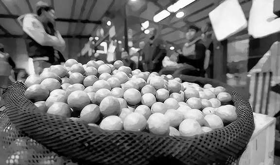 Contra el dragón amarillo, por Angie Higuchi