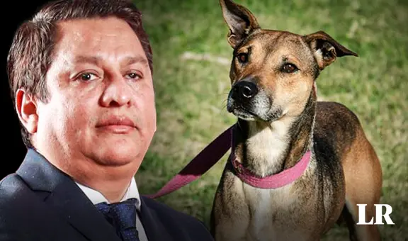 Ministro de Salud: “Quien maltrata a una mascota es capaz de maltratar a un ser humano”