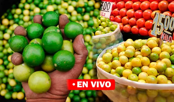 Precio del limón HOY miércoles 13 de septiembre: cuánto cuesta el kilo en Lima y regiones del Perú