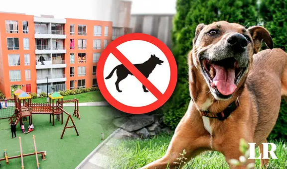 ¿Me pueden prohibir tener MASCOTAS si vivo en un condominio? Tribunal Constitucional responde