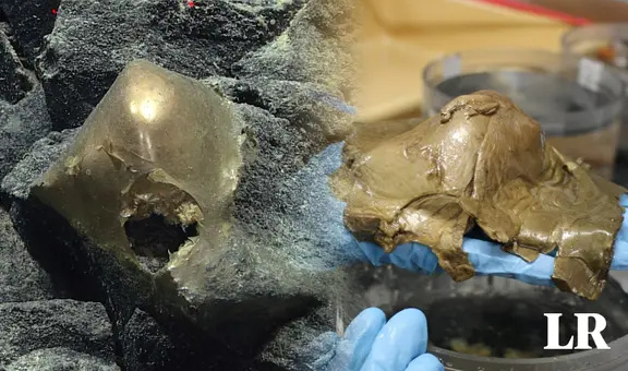 Misterio por el objeto dorado de origen biológico hallado a 3.000 metros bajo el océano Pacífico