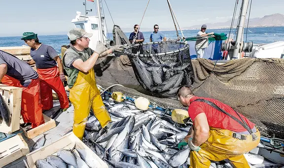 Congreso: José Cueto plantea ley para perpetuar a exmarinos en Imarpe
