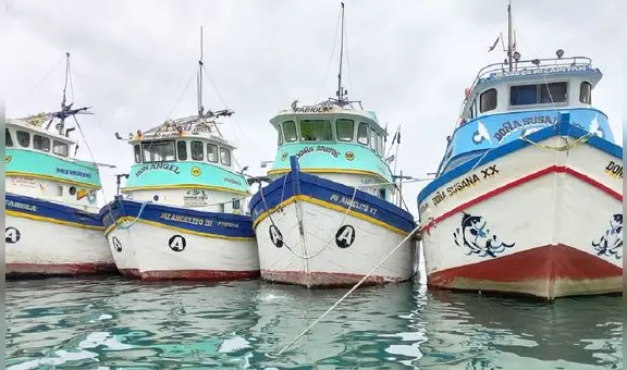 Proyecto de ley pretende favorecer a más de 2.000 embarcaciones ilegales, según biólogo Yuri Hooker