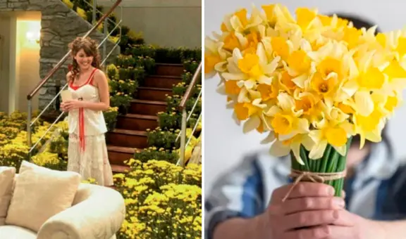 Revisa lo último que se muestra sobre cuándo regalar flores amarillas