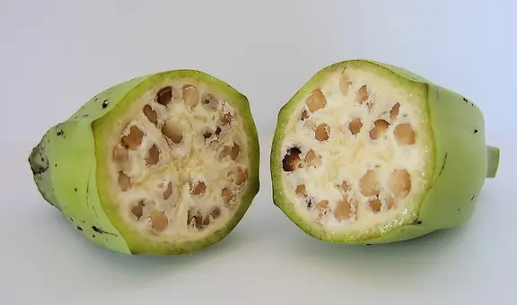 Así era el plátano en su forma original hace 7.000 años: tenía semillas y casi no era comestible