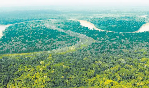 Perú canjea deuda externa con EE.UU. a cambio de conservación de bosques