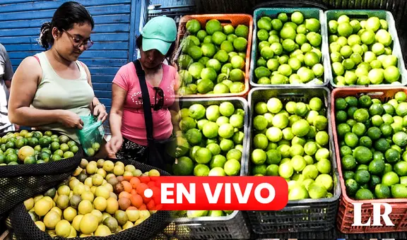 Precio del limón HOY miércoles 20 de septiembre: cuánto cuesta el kilo en Lima y regiones del Perú
