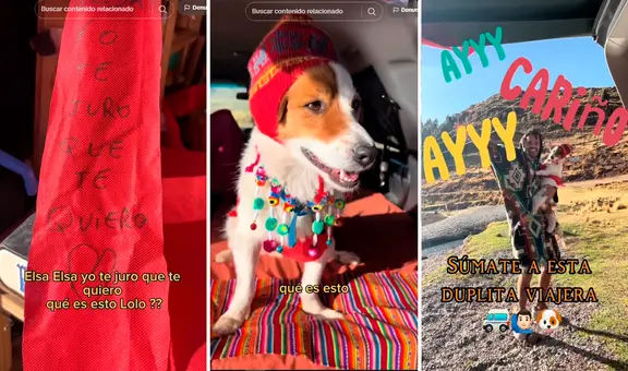 Perrito uruguayo visita el Perú y ahora es más peruano que la papa