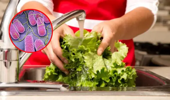 ¿Cuál es el riesgo de NO lavar la LECHUGA y cómo hacerlo correctamente?