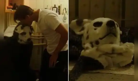 Un hombre que se cree perro, una cita de tinder y una terrible tortura, ¿de qué trata 'Good boy'?