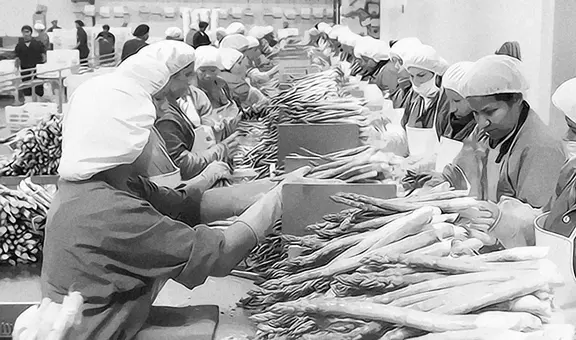 Economía social de mercado: entre lo formal y real, por Kurt Burneo