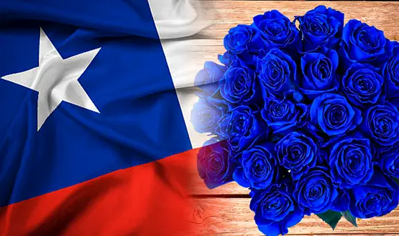 ¿Por qué se regalan flores azules en Chile y cuándo debes entregarlas?