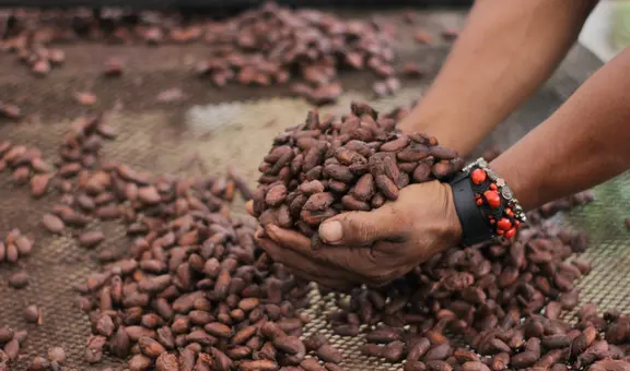 ¿Por qué se celebra el Día del Cacao y Chocolate el 1 de octubre en Perú?