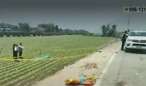 Carabayllo: ciudadanos encuentran cadáver de hombre en una chacra cerca de Canta