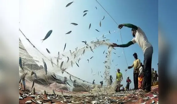 Sin luces del reglamento para proteger las 5 millas marinas