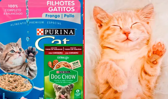 Indecopi ordenó RETIRAR del mercado 28 productos de Nestlé para mascotas: el motivo