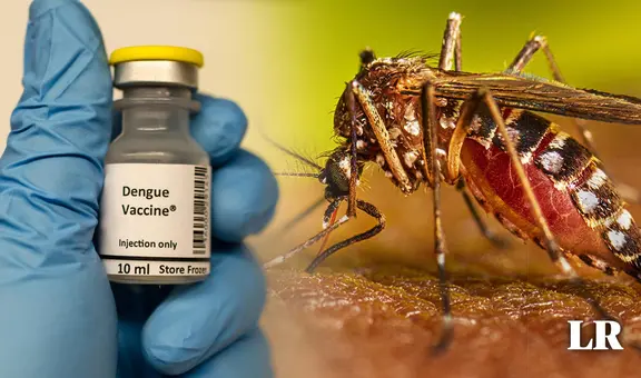 OMS recomienda uso de la primera vacuna contra el dengue ante alza de casos en Latinoamérica