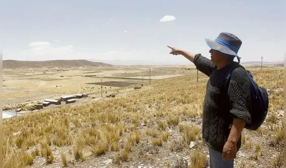 Puno: se viene escasez de granos de quinua por falta de agua