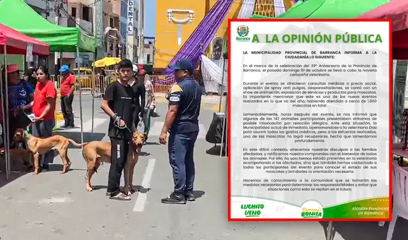 Barranca: vecinos denuncian que municipalidad intoxicó a sus mascotas en campaña de vacunación