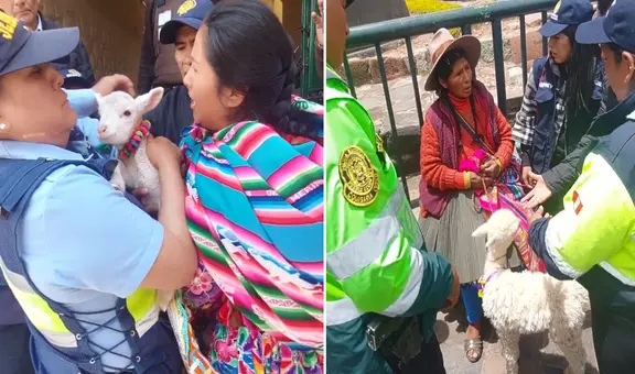 Rescatan a 4 animalitos tras fiscalización a mujeres que lucran con fotos en Cusco