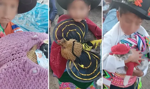Niños causan ternura tras disfrazar a sus gallinas y otras mascotitas en Ayacucho: “Qué hermosos todos”