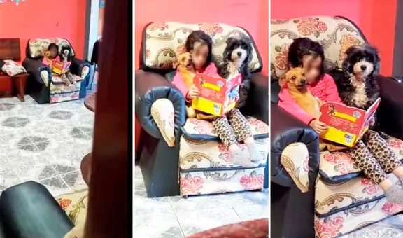 Niña roba corazones en redes al sentarse junto a sus mascotas para contarles un cuento