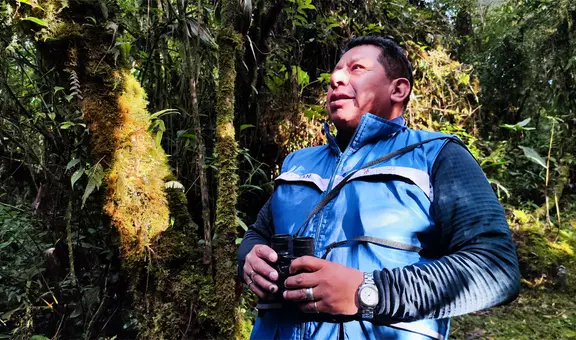 Salvando al picaflor maravilloso de los Andes