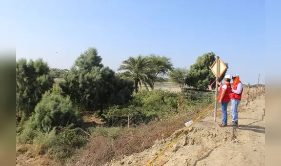 Reparación de dique del río Piura sufre retrasos