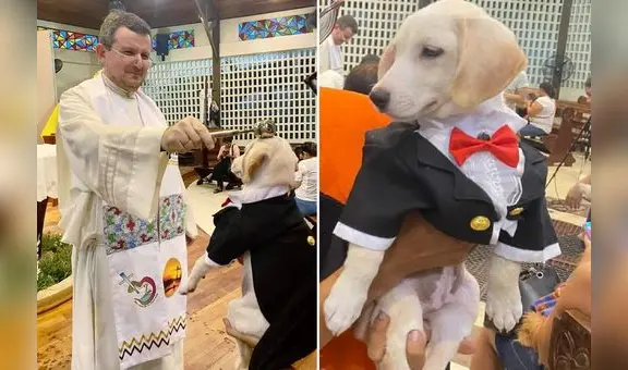 Perro con traje de gala es bendecido por sacerdote durante misa en Iquitos: “Ay, qué hermoso firulais”