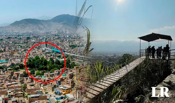 ¿Cuál es el ÚNICO distrito de Lima que tiene una impactante selva escondida?