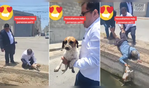 Cuatro ciudadanos se unen para rescatar a un perrito en Chiclayo y son virales: “Sus héroes”