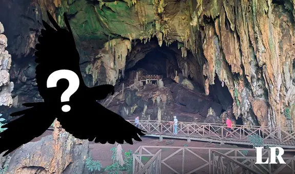 La Cueva de las Lechuzas no tiene lechuzas: ¿qué raro animal habita la atracción turística?
