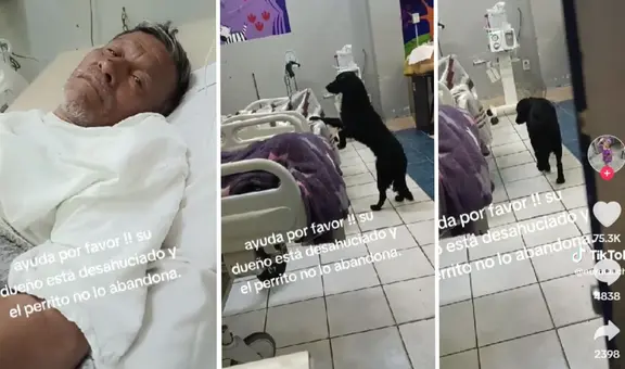 Adulto mayor desahuciado pide que adopten a su perrito: “Yo estaré muy agradecido”