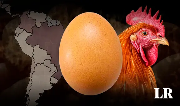 Este es el país de América Latina que consume más huevos y domina la producción en la región