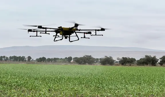 Tía María: diálogo que vuela bajo en el Valle de Tambo