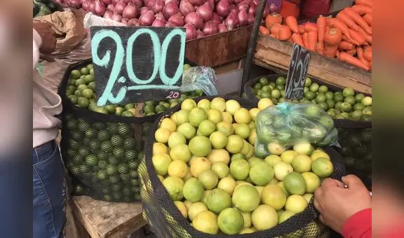Precio del limón en Trujillo: cítrico bajo notablemente en mercado mayorista La Hermelinda