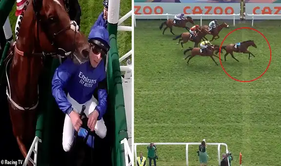 Caballo sale a competir solo luego que su rival golpeara la cabeza a su jinete y gana la carrera